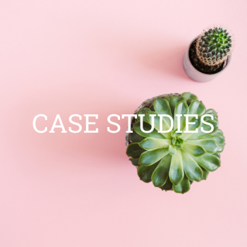 "Case Studies" text with 2 potted plants on pink background